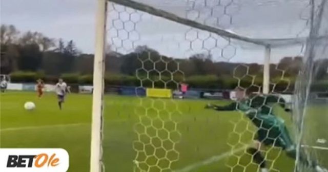 09f8857e 4410 431d aa7f edf292161b01