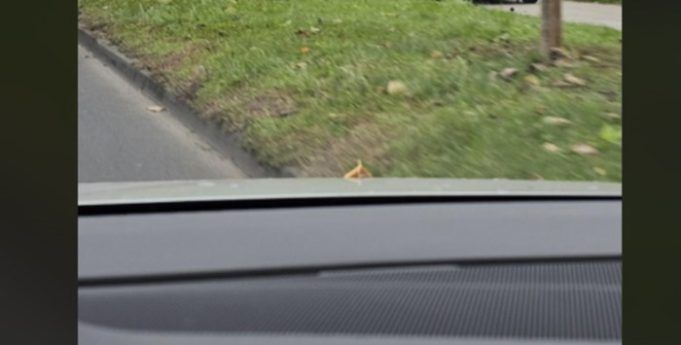 0bca2c4b adc1 4e2b b68f 9811f9b4220c