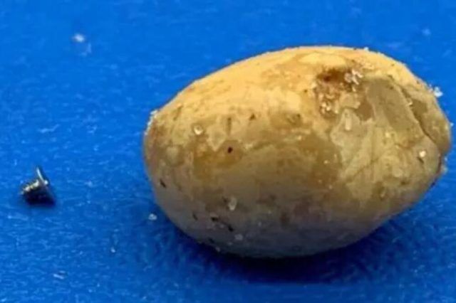 1542629 snimak ekrana 20241120 103758 ls