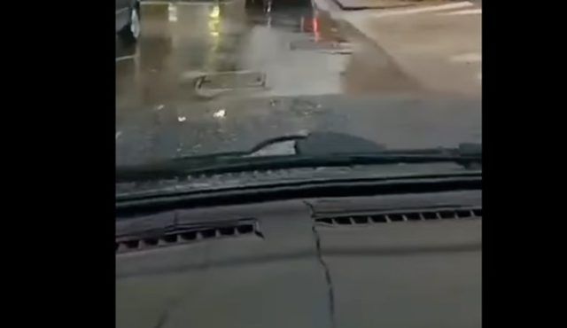 1c804caf 2c54 48a5 9316 93689ea2f7f4