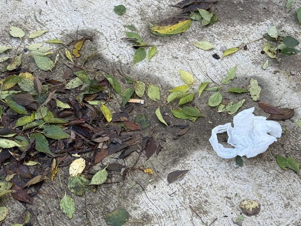 467913406 2358944397772865 3443384117773140805 n