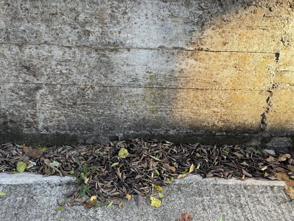 468107096 2358944334439538 1144756750965107204 n