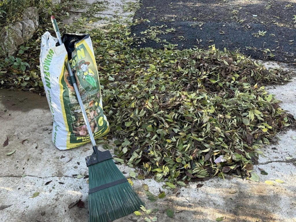 468175565 2358944381106200 6602269434172831207 n