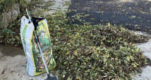 468175565 2358944381106200 6602269434172831207 n