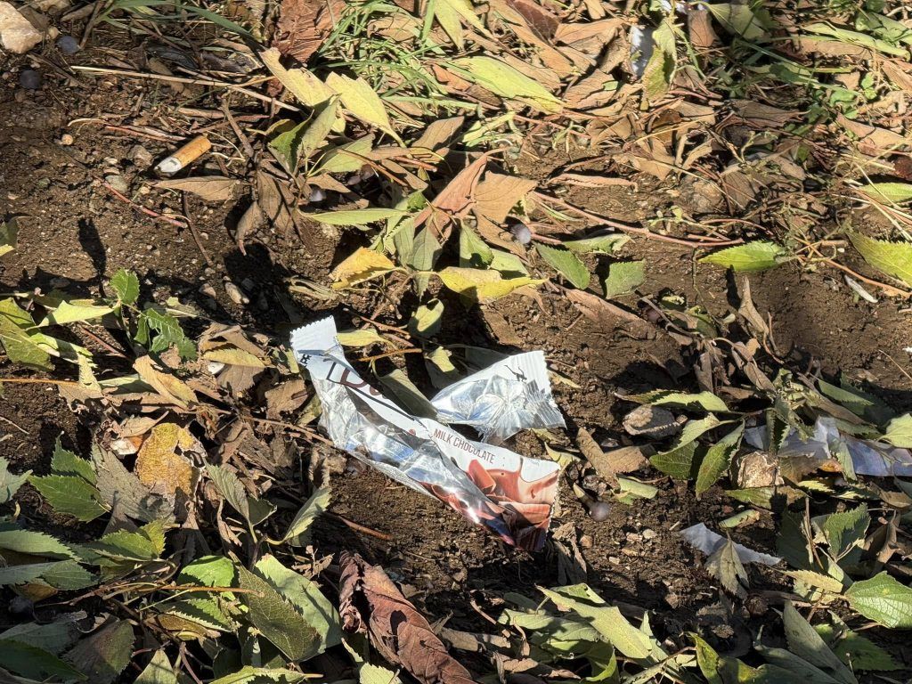 468209445 2358944304439541 4108448586073646256 n