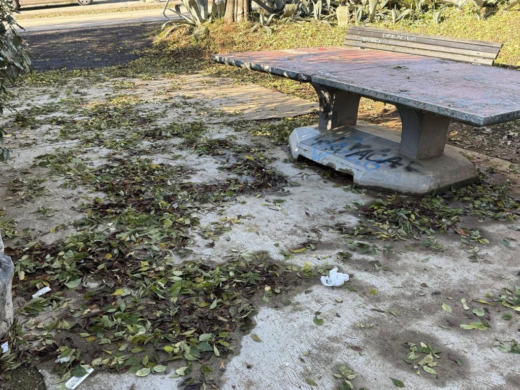 468225570 2358944261106212 3198796323473273214 n (1)