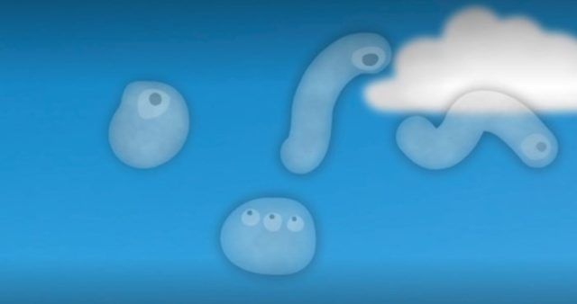 4e3e544c 4d06 40bf 874d 7ef03794bff7