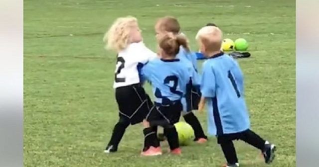 547ffc3e dc18 490b 8365 0a7828feb006