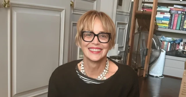 7af7af9b 763e 444b 8220 13c612707476