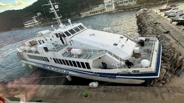 8085b4b2 73ba 4d5c 9497 349d94c9925a