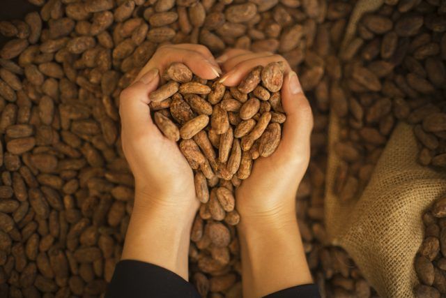 17. Chocolate Festival Opatija