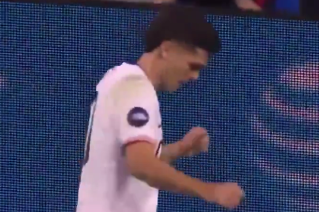 Pulisic