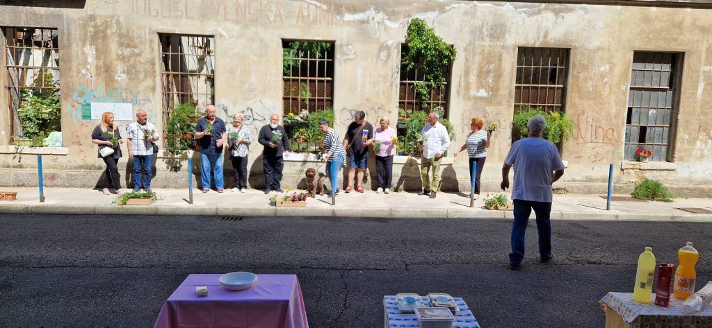 Vodovodna KOnčar sadnja