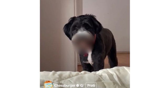 b28b54df 30b3 4bb6 926c b1e50adb7352 b28b54df 30b3 4bb6 926c b1e50adb7352