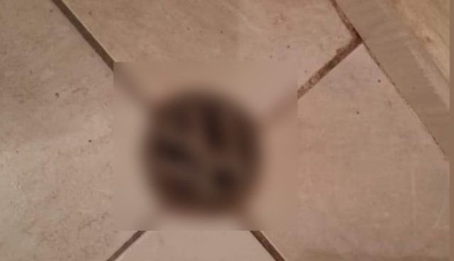 b3c890a6 79b8 4307 8ec8 80ad10dcdd2f