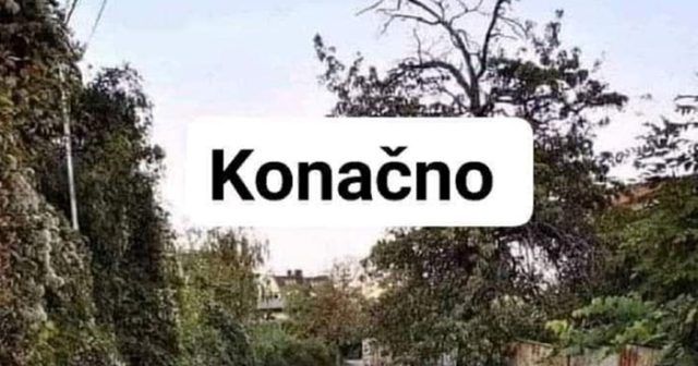 bf97dec8 3d0a 4a0b 909f 808817f7ceb8