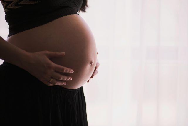 pexels freestocks 57529 (1)