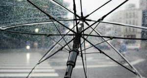 pexels joelpapalini 2769117