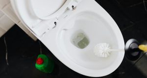 pexels karolina grabowska 4239088