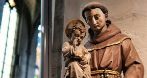 pexels photoscene 7327278