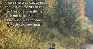 1543878 screenshot 20241128 095707 ls