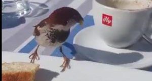 1545545 wdefwefewf ls