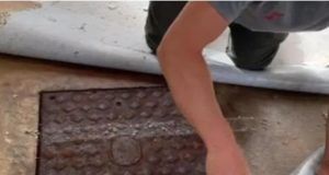 1546125 dnevna soba ls