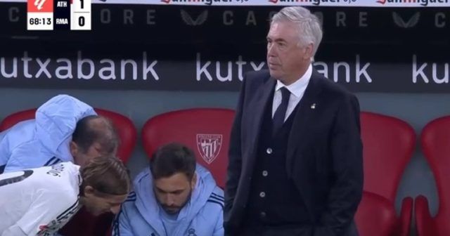 19dc7113 19a5 400c 93b2 f523440d3577