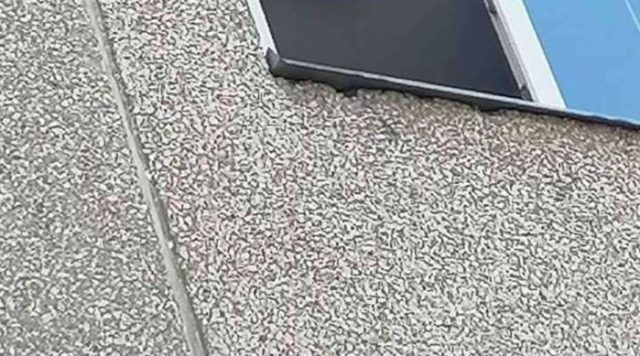 42b09ee1 af4b 44a8 83bc c0d97719a4e3