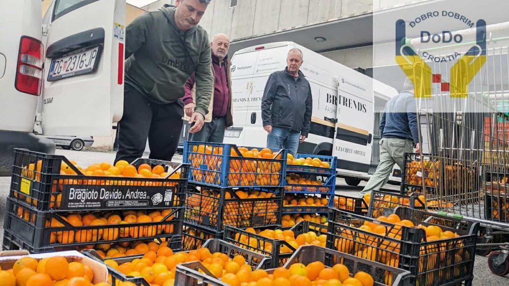 462578482 1284373196143851 2111255184399071412 n