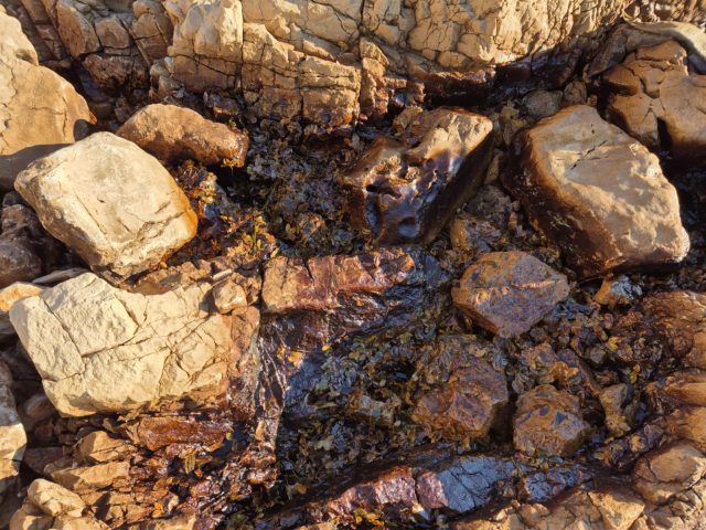 4f691aaf 8681 4978 b39d 52ba087357af