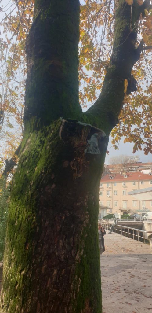 85b5435b 017e 446a 836d 934138b83f1b