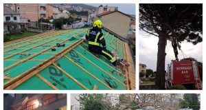 MixCollage 24 Dec 2024 10 40 AM 8329