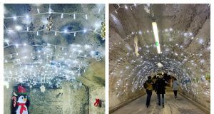 MixCollage 30 Dec 2024 12 37 AM 7921