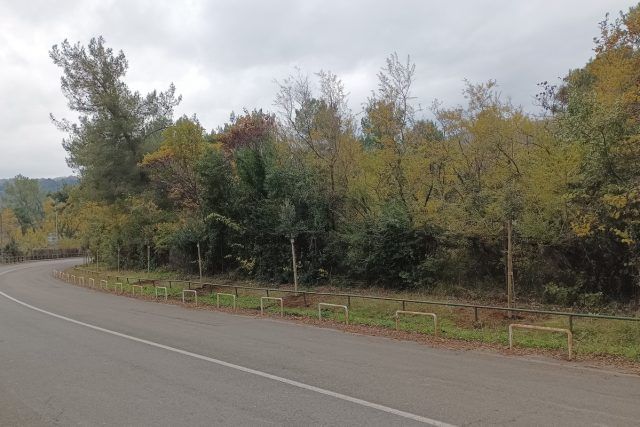 Sadnja stabala crnike na Preluku 1