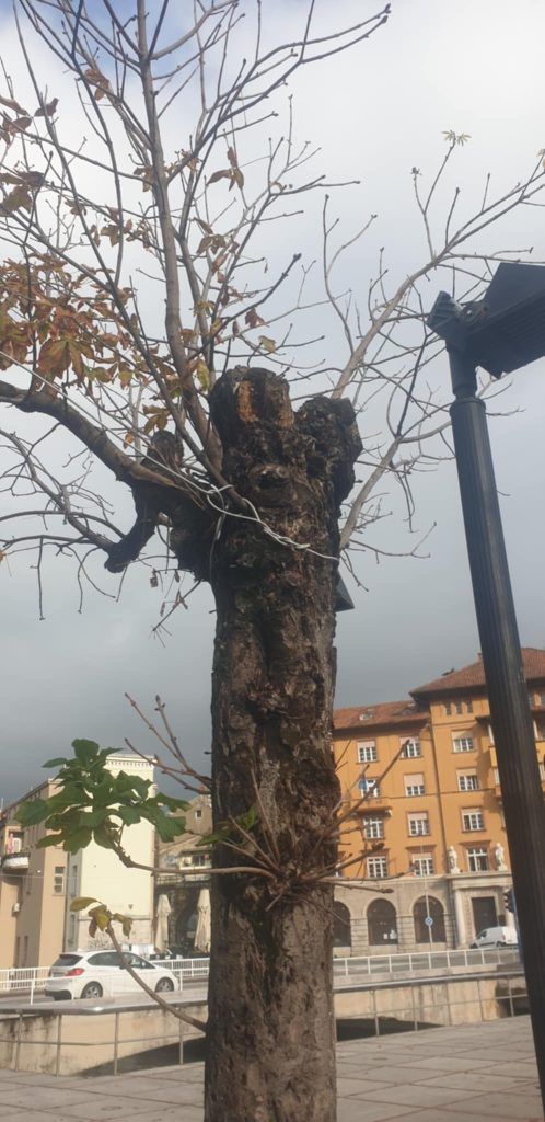 b513f02a 6170 486a acbe ac5c726bc1a0