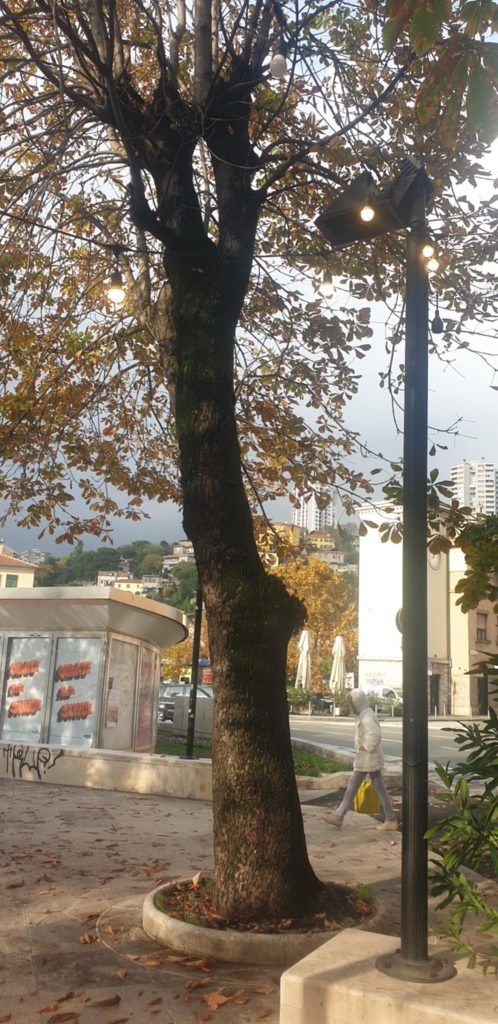 d1768982 4836 42ba b7fe 4913cd4c2a4f