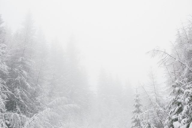 pexels adam lukac 254247 773953