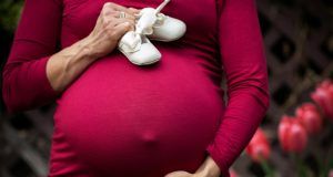 pexels andre furtado 43594 2617210