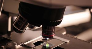 pexels pixabay 256262