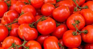 pexels pixabay 533280