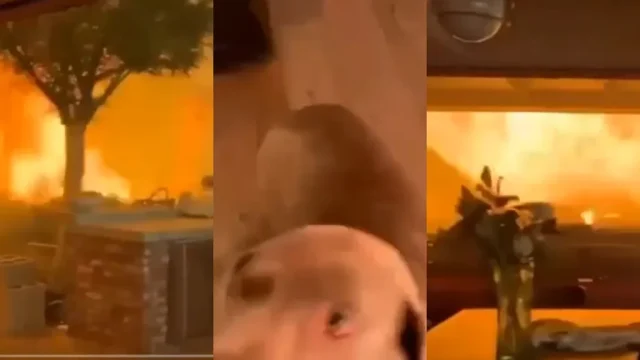 1024x576 ba055070 9d09 11eb a6aa cedfb09875dd (22)