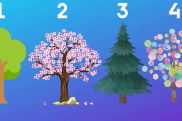 1550067 88726 ls (1)