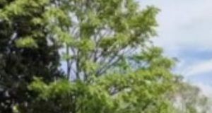 27f4e142 9094 4c57 a83e c3ce366182be