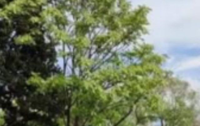 27f4e142 9094 4c57 a83e c3ce366182be