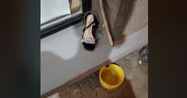 466b8ca6 552a 4fdd af86 7d3467aaed15