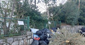 473717420 3985430981736524 8480547926584194353 n