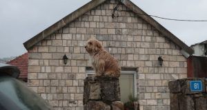 48775e56 4ea8 4794 b020 5665e3c90ea3 (1)