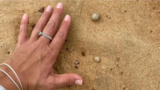 768x432 ba054e7c 9d09 11eb 870c cedfb09875dd