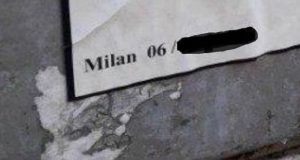 8b6781a8 dec8 4a06 a282 07bce1218842